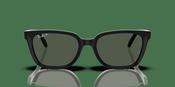 Ray-Ban RB 2243D Sunglasses