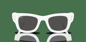 Ray-Ban Wayfarer Puffer RB 4940 Sunglasses