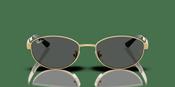 Ray-Ban RB 3774D Sunglasses