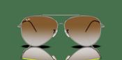 Ray-Ban Aviator Reverse RBR 0101S Sunglasses