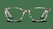 Palazzo SP26 Glasses image