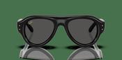 Ray-Ban Aviator Puffer RB 4925 Sunglasses