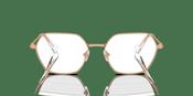 Swarovski SK 1011 Glasses