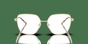 Emporio Armani EA 1192 Glasses