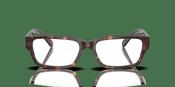 Diesel 0DL4002 Glasses
