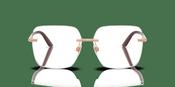 Dolce &amp; Gabbana DG 1360 Glasses