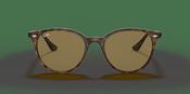 Ray-Ban RB 4305 Sunglasses
