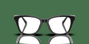 Swarovski SK 2073 Glasses