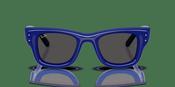 Ray-Ban Wayfarer Puffer RB 4940 Sunglasses