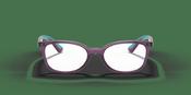Ray-Ban RY 1586 Glasses