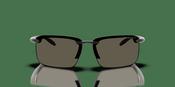 Arnette AN 4383 Sunglasses