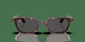 Ray-Ban Zaya Bio-Based RB 4456 Sunglasses