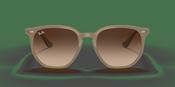 Ray-Ban RB 4306 Sunglasses