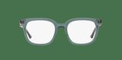 Gucci GG 002241 Glasses
