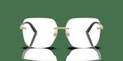 Dolce &amp; Gabbana DG1360 Glasses