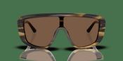 Dolce &amp; Gabbana DG 4520 Sunglasses