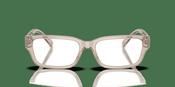 Diesel 0DL4002 Glasses