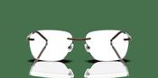 Diesel 0DL5005 Glasses