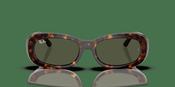 Ray-Ban RB 2221 Sunglasses