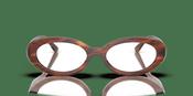 Ray-Ban RX 2223V Glasses