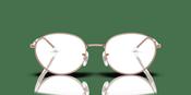 Ray-Ban RX 6558 Glasses