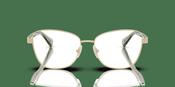 Ralph by Ralph Lauren RA 6064 Glasses image