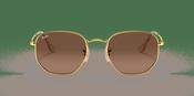 Ray-Ban Hexagonal Flat Lenses RB 3548N Sunglasses