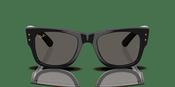 Ray-Ban RB 0840S Sunglasses