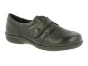DB Easy B Owl - Black