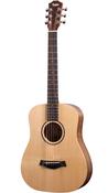 Taylor Baby  BT1 with Pickup | Spruce Top | Walnut Back and Sides