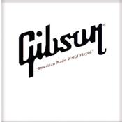 Gibson Bass Guitar | singles strings | Nickel Wound | Gauge .040 image