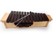 Hands-On 13 Note Tenor Xylophone | C4 to C5 | Length 65cm image