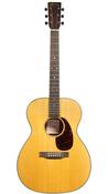 Spruce top/Sapele back &amp; sides with soft shell case