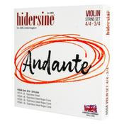 Hidersine H50A | Andante Violin SET 4/4 - 3/4 image