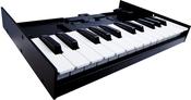 Roland K-25m Boutique Keyboard Unit image