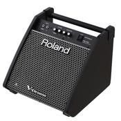 Roland PM-100 | Personal Drum Monitor | 80 Watts image
