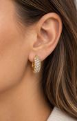 Elara Earrings in Gold image
