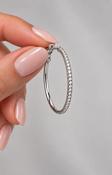 Fienna Earrings in Silver image