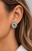 Indigo Earrings in Silver image