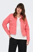 Only Carmakoma Denim Jacket in Coral