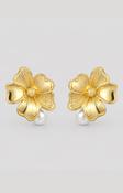 Penelope Earrings in Gold