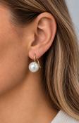 Thalassa Earrings in Gold image