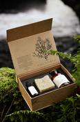 A Gift From Bantry Bay — WASI