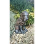 Spaniel