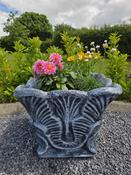 Large Vase Planter image
