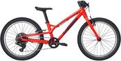 Trek 2027 Wahoo 20 Path
