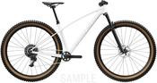 Trek 2027 Procaliber 9.6 Gen 3 image