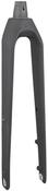 Trek FX Sport AL 3 Thru-Skew 700c Rigid Fork image