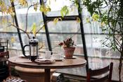 CHAGA Coffee