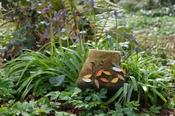 Felted vessel with leather leaves